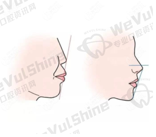 综合类项目收费标准