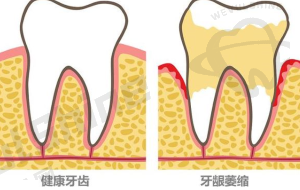 排名与地址信息