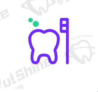 其他项目收费